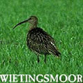 wietingsmoor 01