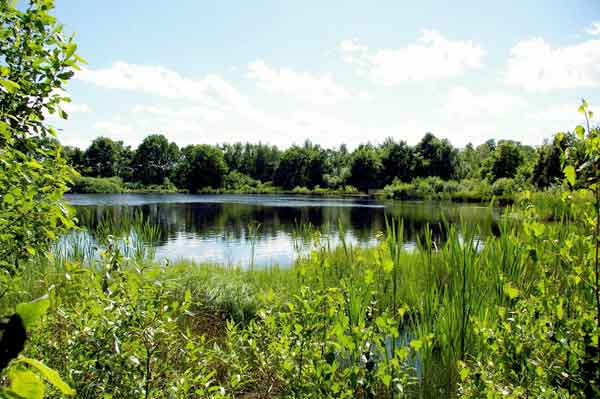 Böttchers Moor